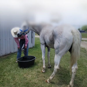 Meet your Posher, Maliki